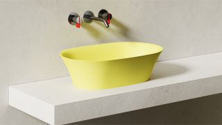 Накладная раковина Salini Mona S-Sense 110811GRF 60см RAL полностью