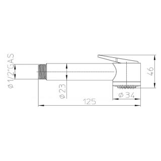 Гигиенический душ Bossini Paloma Gom B00457.030 хром