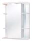 Шкаф-зеркало с подсветкой Onika Глория 205504 левый 55см белый