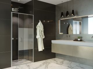 Душевая боковая стенка Alex Baitler SG61C100 100?200 см