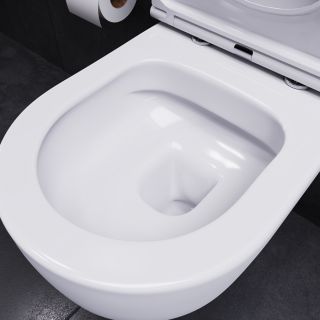 Унитаз подвесной  Damixa Sirius DX86C1700SC с сиденьем микролифт