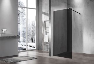 Душевая перегородка Vincea Walk In VSW-1H120CGB 120 см