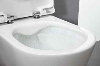 Унитаз Laufen Pro 8.2096.6.000.000.1 подвесной