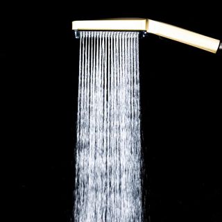 Душевая лейка Frap F025 Золотой сатин