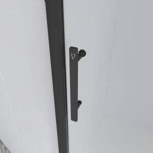 Душевая дверь Veconi Evo 100 B, 1800x1950, черный матовый, стекло прозрачное