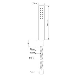 Душевая лейка Swedbe Calypso 5097 хром