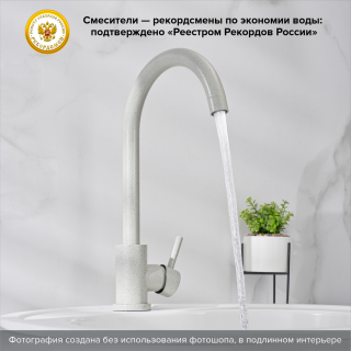 Смеситель для кухни РМС SUS124GY-017F серый