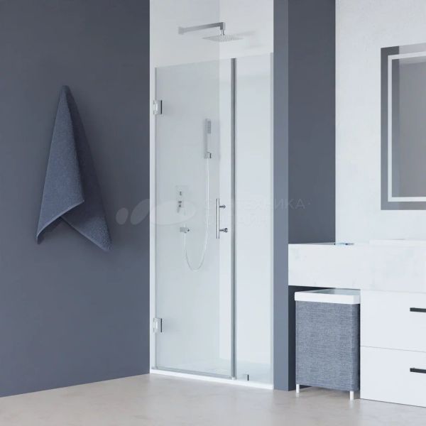 Душевая дверь RGW HO-012