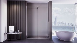 Душевая дверь Veconi Premium Trento PTDW-50CH, 1500x2000, хром, стекло прозрачное