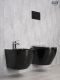 Унитаз подвесной Gid Tr2198-18 62204Y черная глянцевая 49x36x35.5