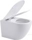 Унитаз подвесной Aquanet Rimless Cetus W Short LX-1900 249710 белый