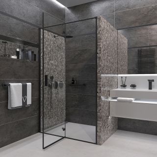 Душевая дверь Veconi Vianno VN-73B, 1200x1950, Черный, стекло прозрачное